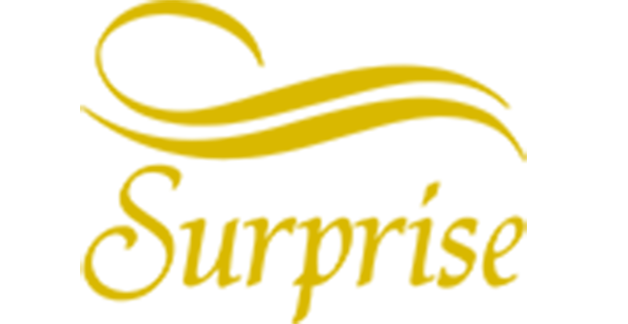 Surprise Club & Disco Logo